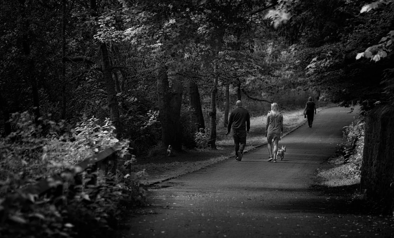 People walking together on a tree-lined path