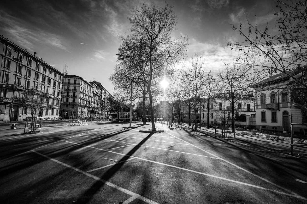 A residential street with homes, trees, and shared public space